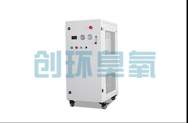 白沙工厂化养鲈必看：2026年臭氧发生器替代传统消毒的最新方案