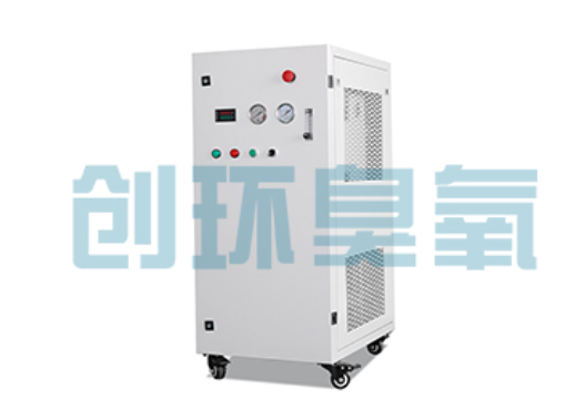 白沙石斑鱼养殖水质调控完整指南：臭氧发生器配置与操作步骤