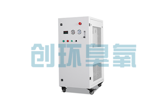 白沙比传统换水更高效？臭氧发生器在石斑鱼养殖中的水质净化原理解析