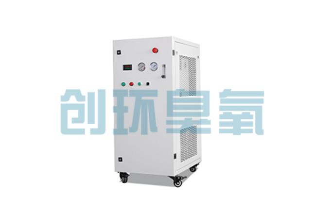 白沙比传统换水更高效?臭氧发生器在石斑鱼养殖中的水质净化原理解析